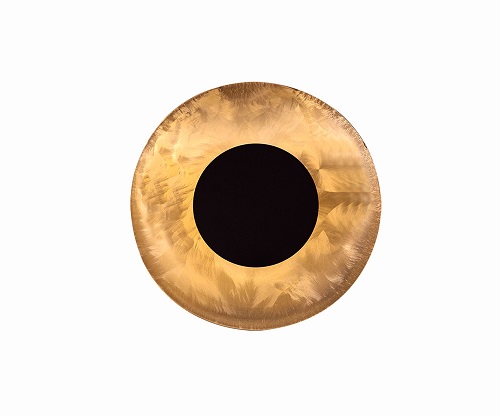 Round Wall Light