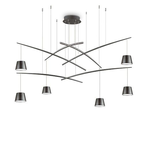 Fish sp6 Black Φωτογραφία από Fish sp6 Black