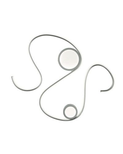 Snake Φωτογραφία από Snake