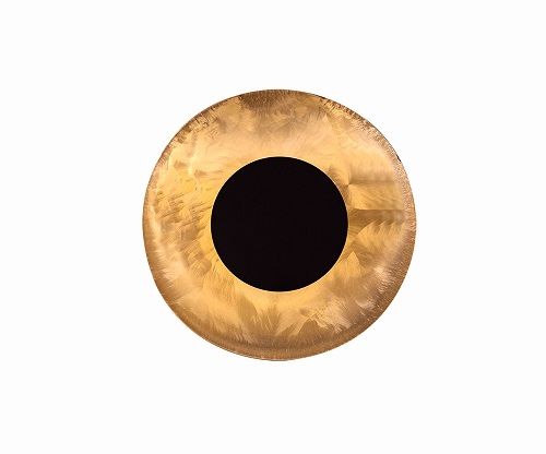 Round Wall Light Φωτογραφία από Round Wall Light