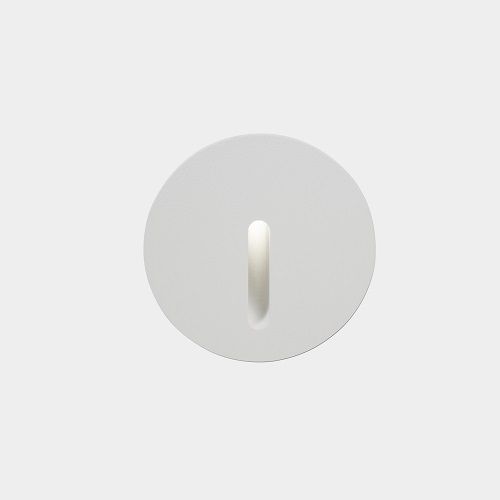 Bat round White Φωτογραφία από Bat round White