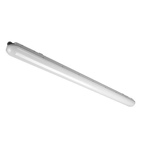 FENIKS 60CM Φωτογραφία από FENIKS 60CM