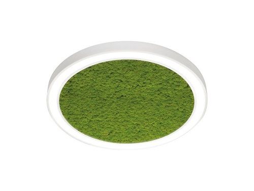 FI ALPHA MOSS CEILING Φωτογραφία από FI ALPHA MOSS CEILING