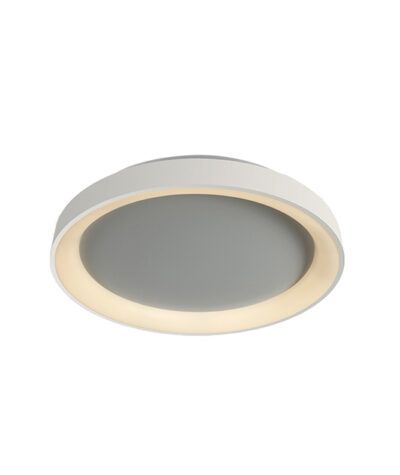 ROUND WHITE Φωτογραφία από ROUND WHITE