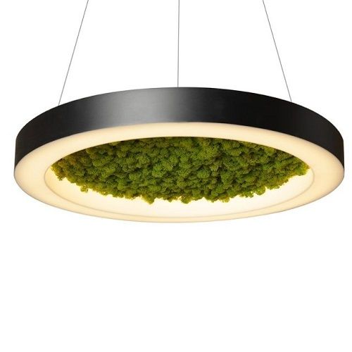 FI ALPHA MOSS PENTAND Φωτογραφία από FI ALPHA MOSS PENTAND