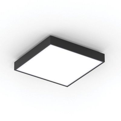 DISCUS Q Φωτογραφία από DISCUS Q